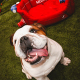 RED PADDED DOG BED