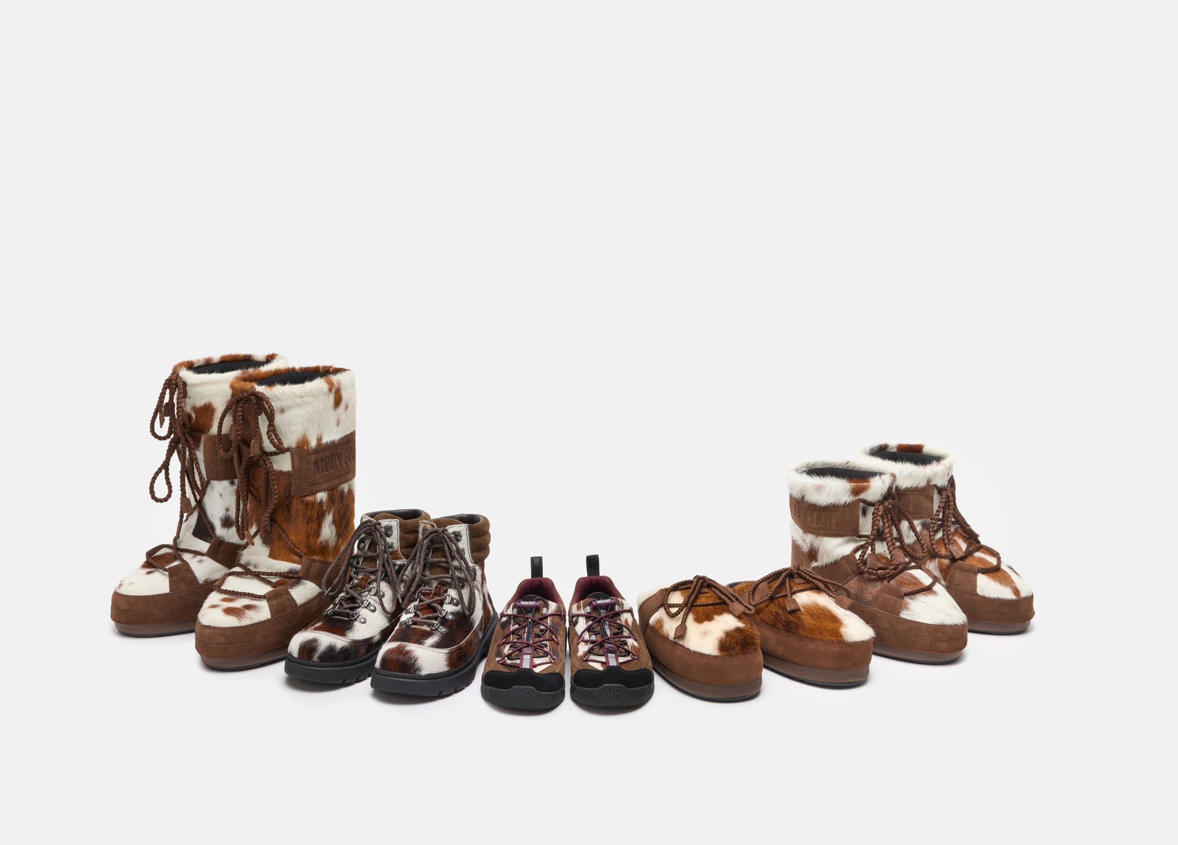Immagine diapositiva
