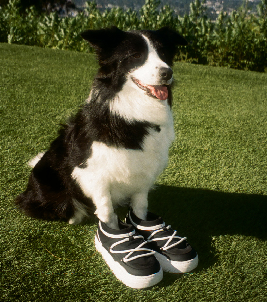 Moon Boot® Official Online Store
