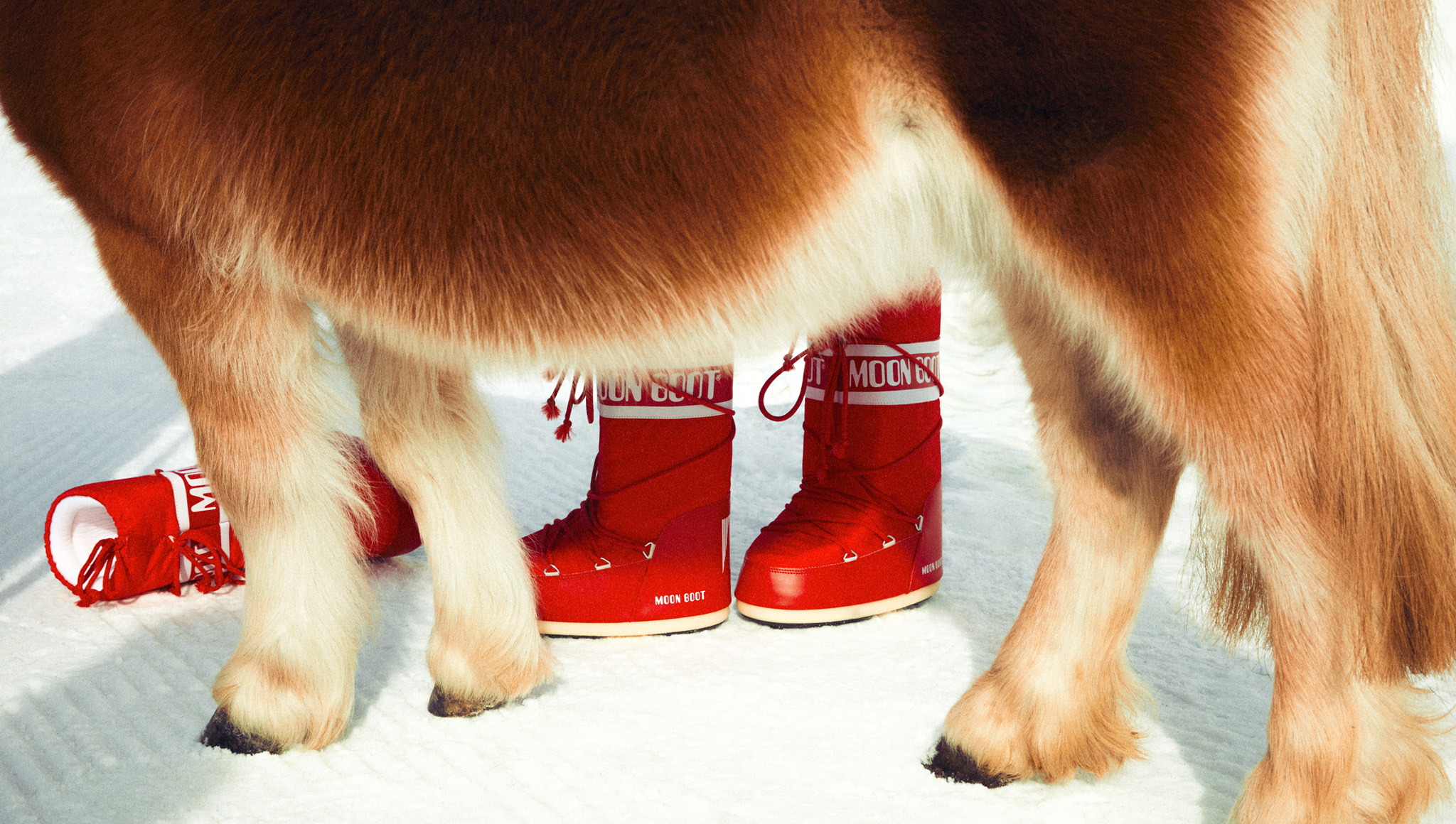 Moon Boot® Official Online Store