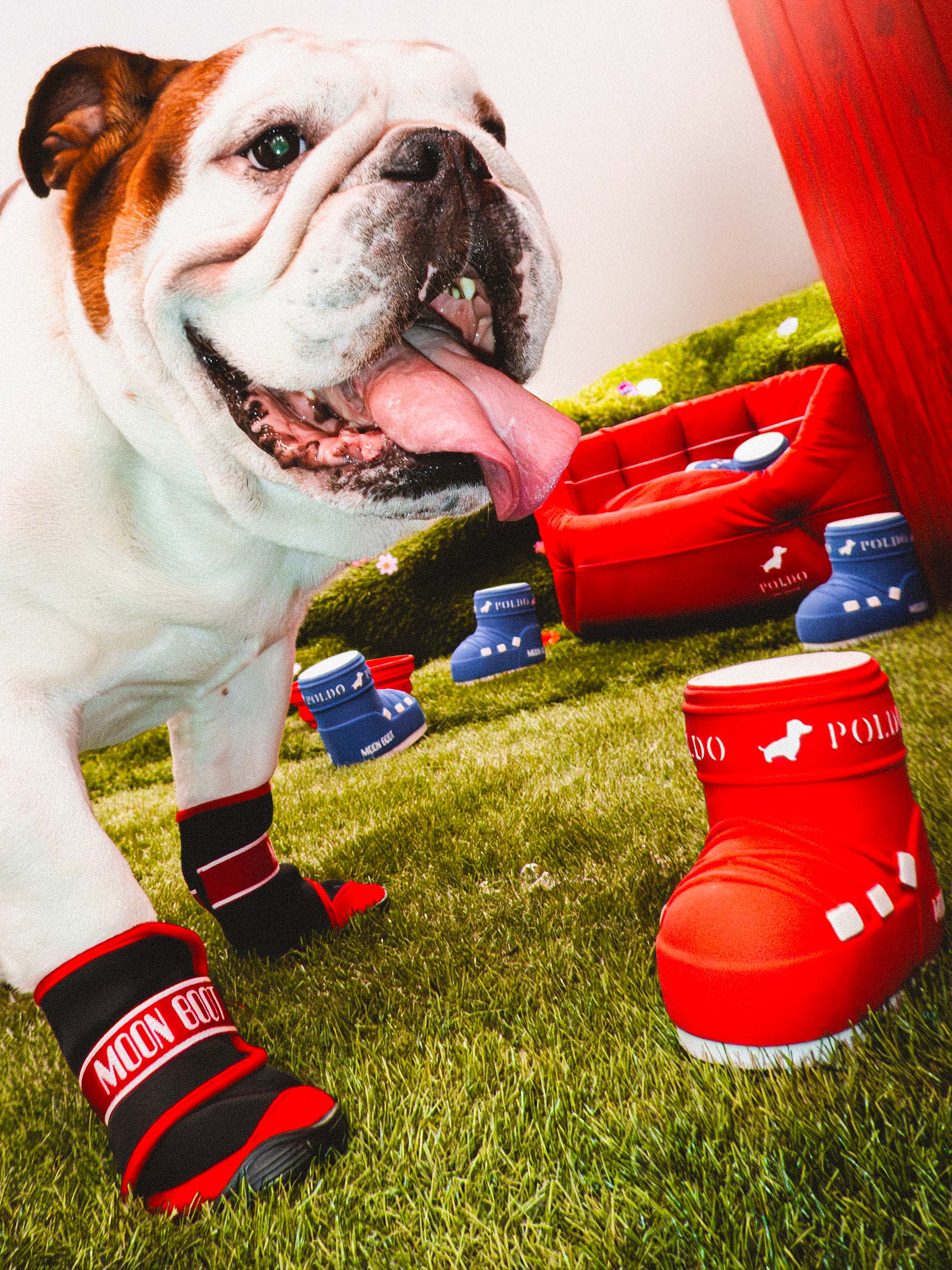 MOON BOOT X POLDO DOG COUTURE STIVALI ROSSI PER CANI image number 6