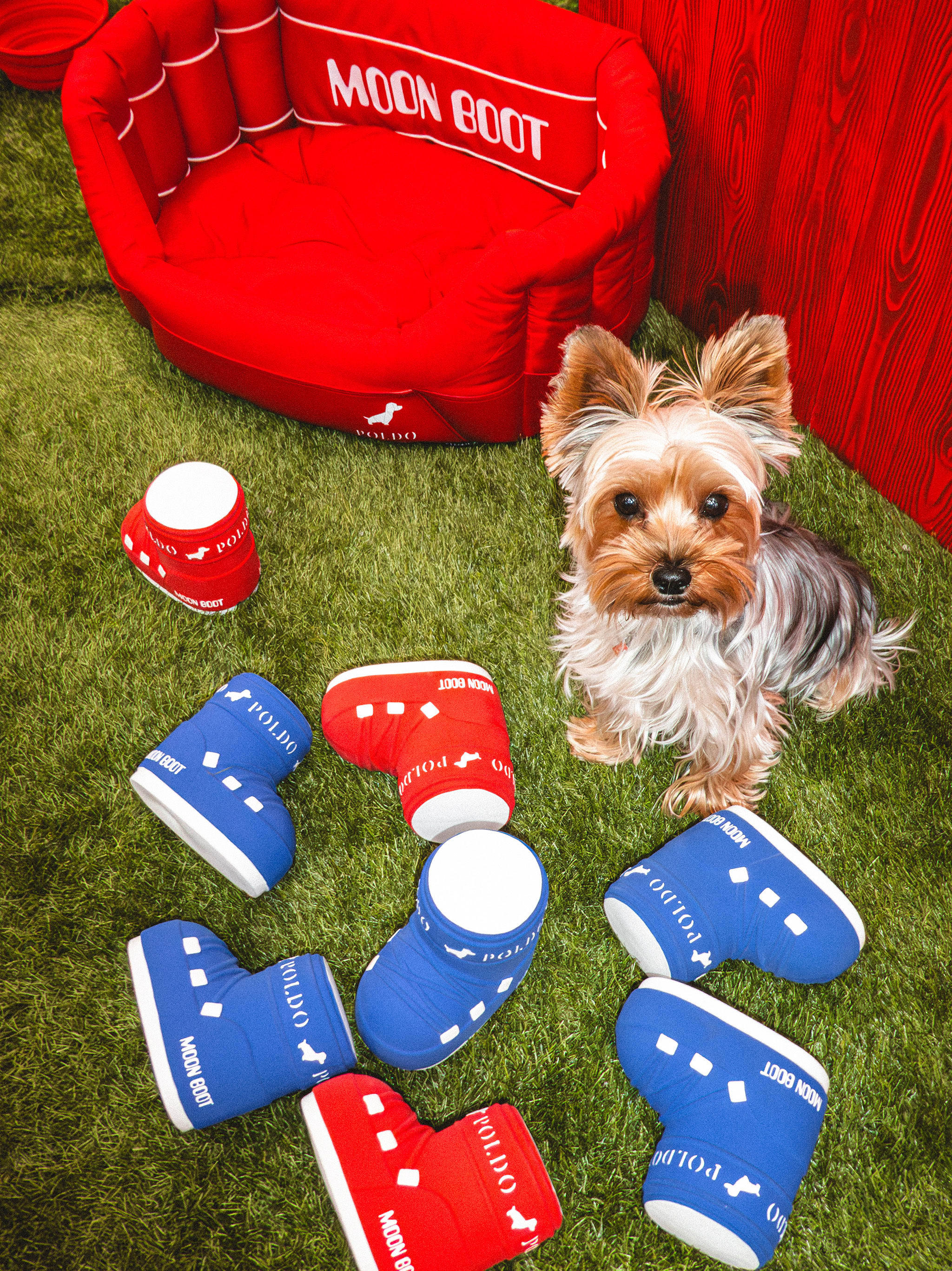 MOON BOOT X POLDO DOG COUTURE GIOCATTOLO ROSSO CON SQUEAK PER CANI image number 4