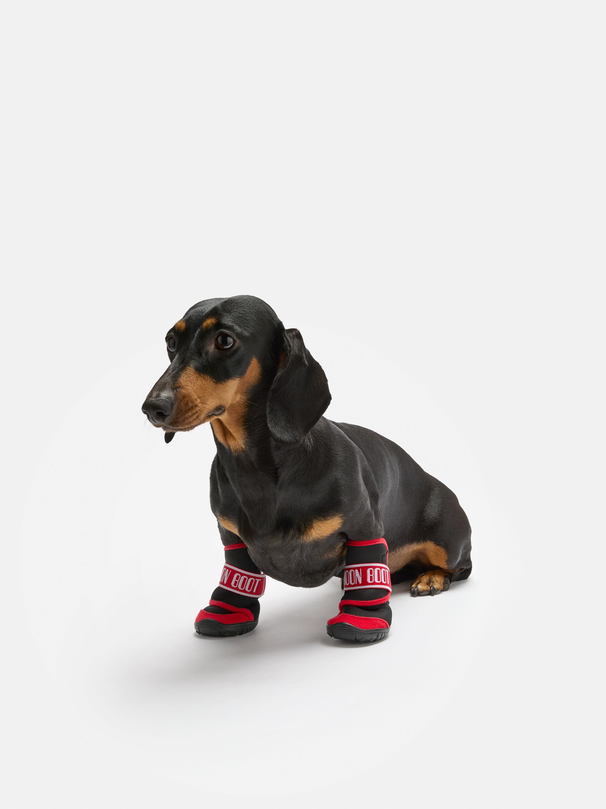 MOON BOOT X POLDO DOG COUTURE STIVALI ROSSI PER CANI